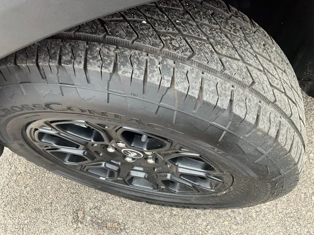 Used 2025 Ford Bronco Sport Badlands image 5