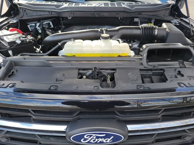 Used 2025 Ford F150 XLT w/ Equipment Group 301A Standard AWD/4WD image 36