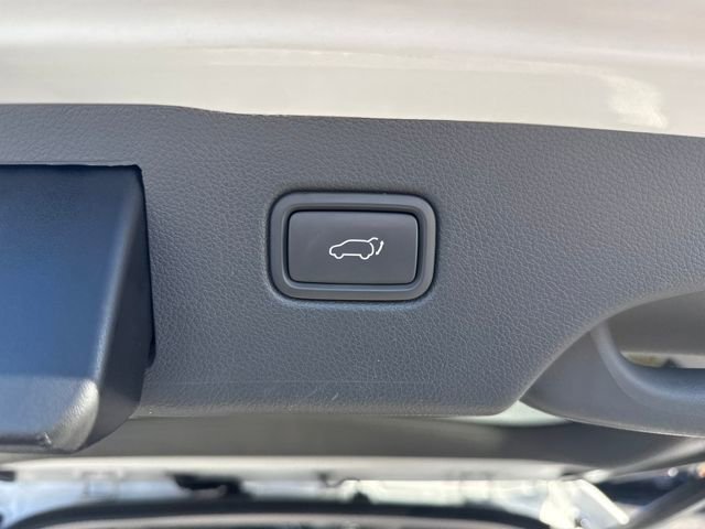 Used 2019 Kia Sorento SX w/ SX Touring Package image 48