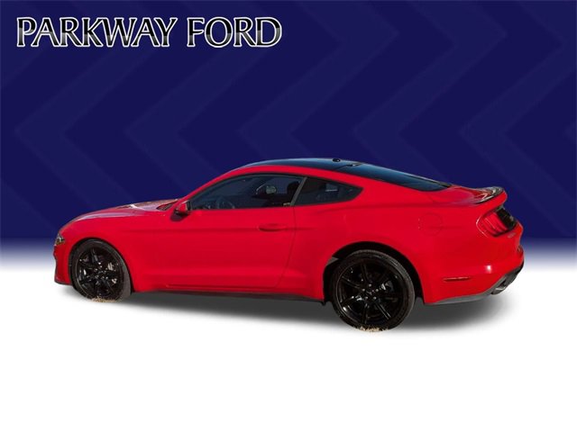 Used 2019 Ford Mustang EcoBoost w/ Black Accent Package image 8