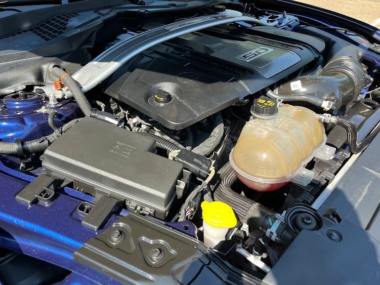 Used 2019 Ford Mustang GT Premium w/ Equipment Group 401A RWD image 27