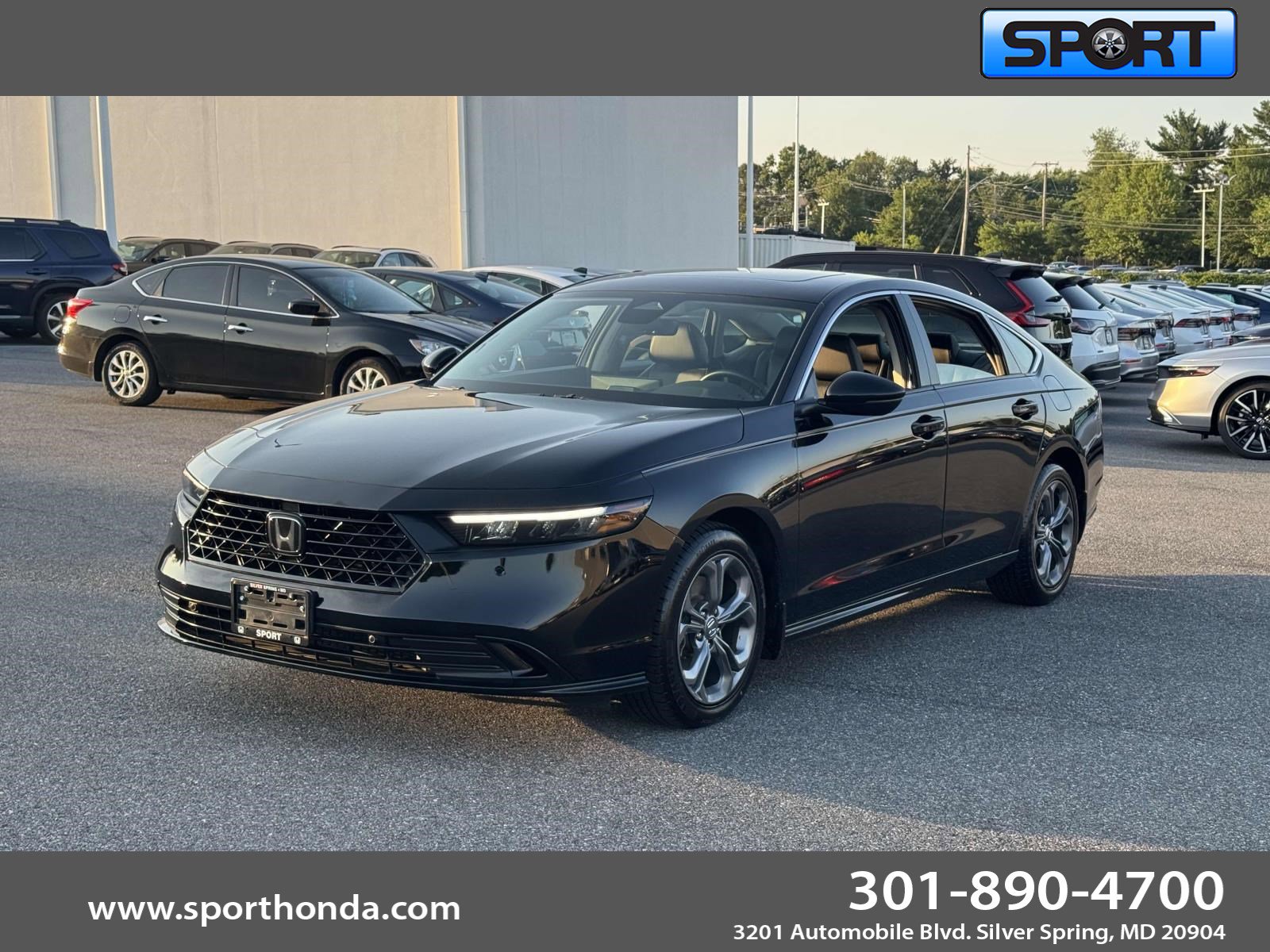 Used 2024 Honda Accord EX-L image 1