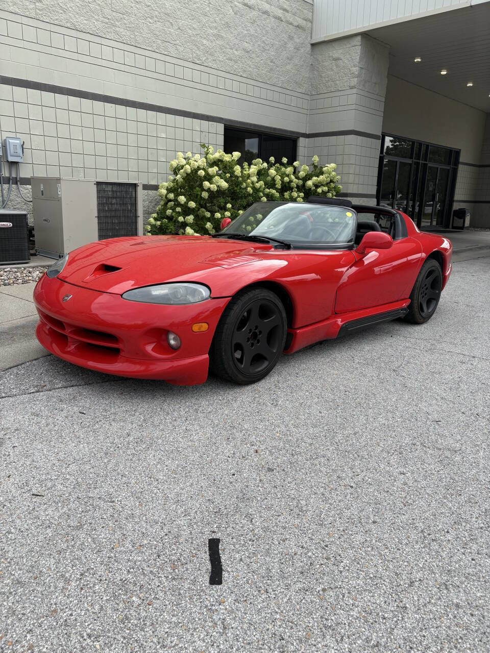 Used 1993 Dodge Viper RT/10 image 2