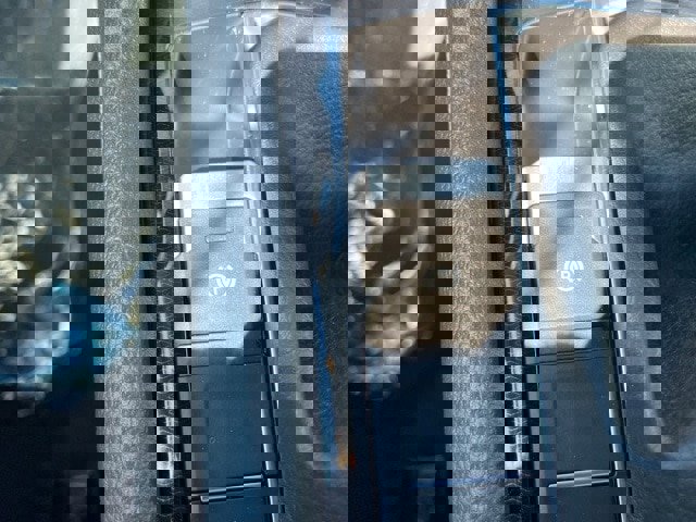 New 2025 Volkswagen Taos SE image 40