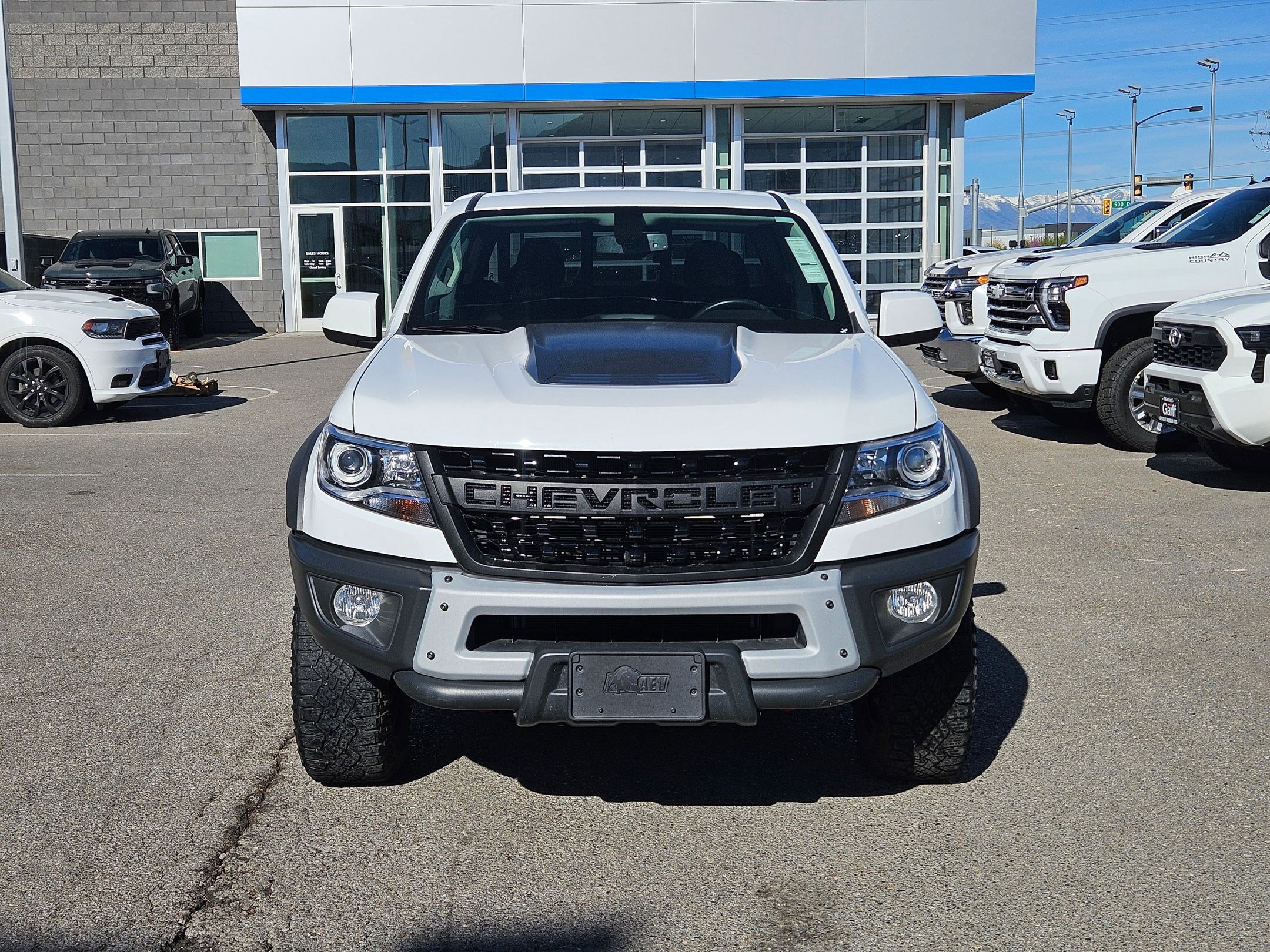 Used 2022 Chevrolet Colorado ZR2 w/ Colorado ZR2 Bison Edition image 9
