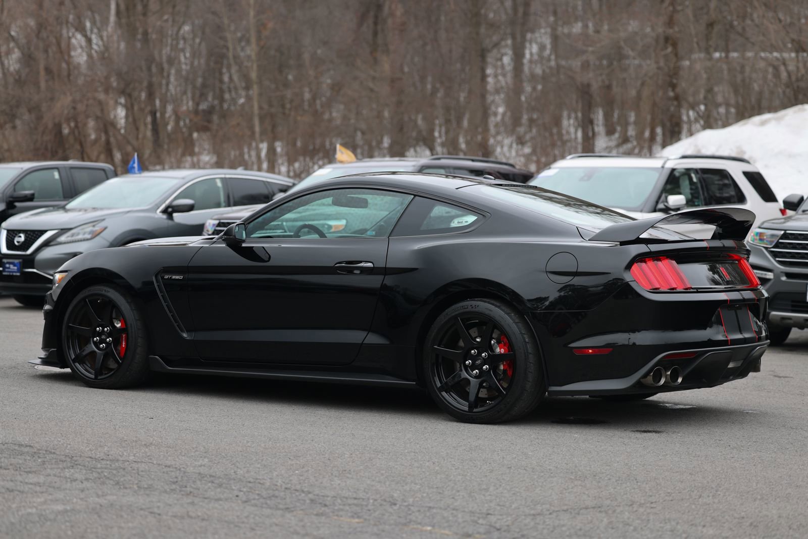 Used 2017 Ford Mustang Shelby GT350R w/ GT350R Equipment Group 920A image 10