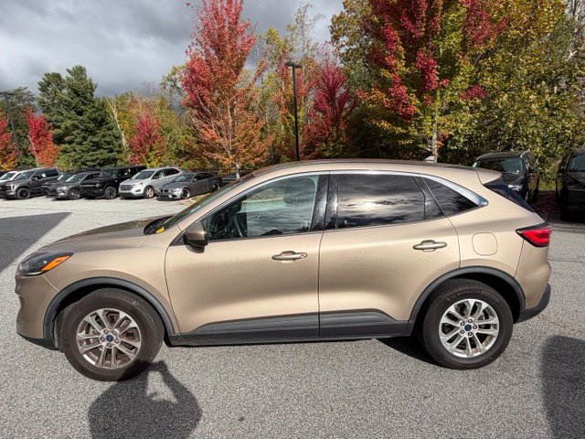Used 2020 Ford Escape SE AWD/4WD image 2