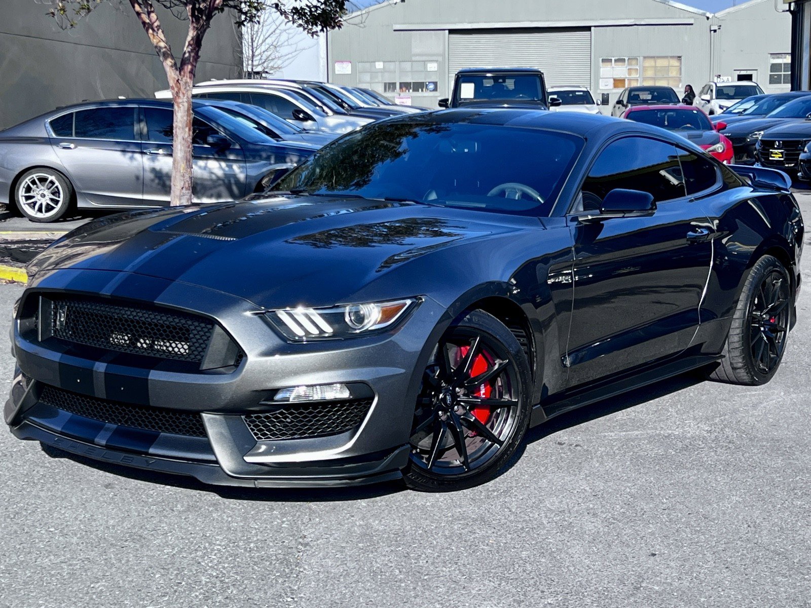 Used 2016 Ford Mustang Shelby GT350 w/ Technology Package