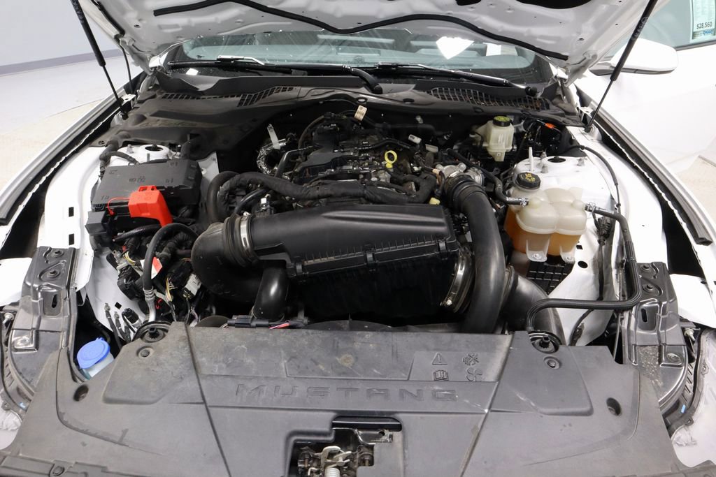 Certified 2024 Ford Mustang EcoBoost image 17
