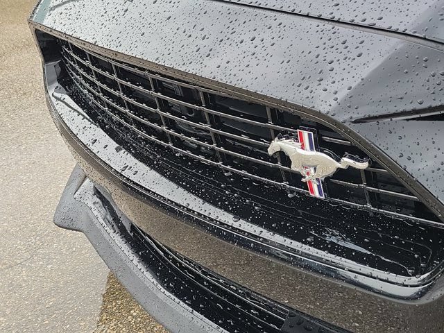 Certified 2019 Ford Mustang GT Premium w/ Equipment Group 401A RWD image 13