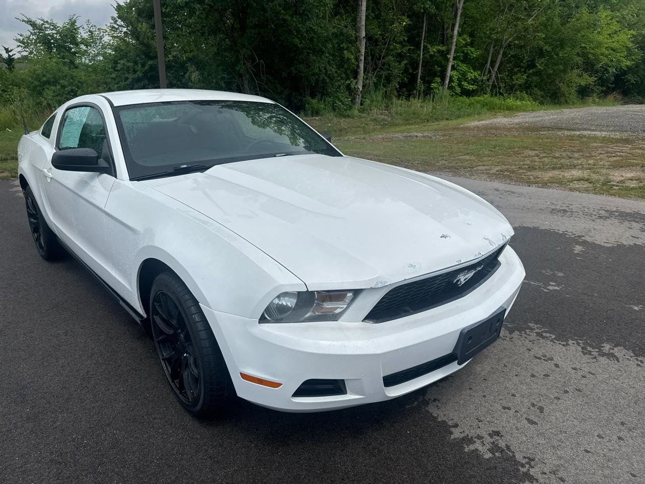 Used 2010 Ford Mustang Coupe image 3