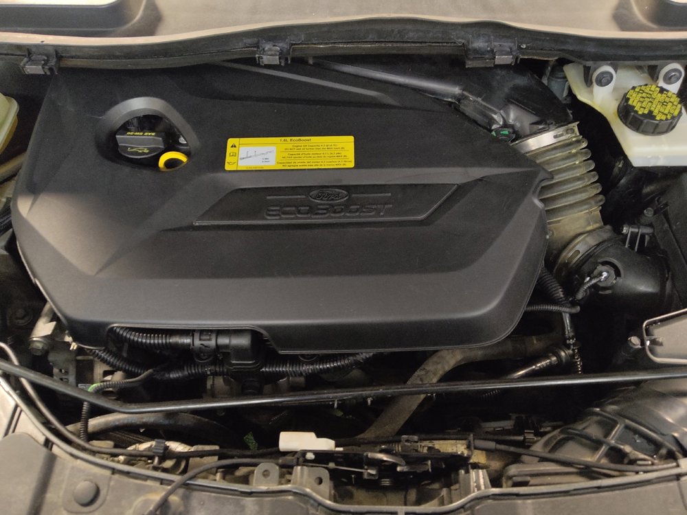 Used 2014 Ford Escape SE image 30