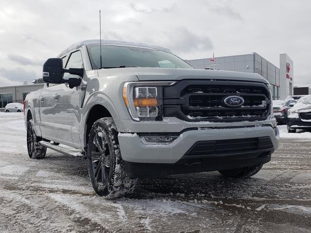 Used 2023 Ford F150 XLT w/ Equipment Group 302A High image 3