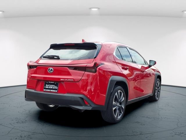 Used 2023 Lexus UX 250h AWD w/ Accessory Package (Z2) image 6