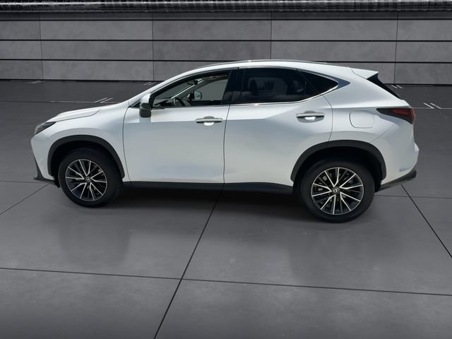 Certified 2024 Lexus NX 250 FWD image 5