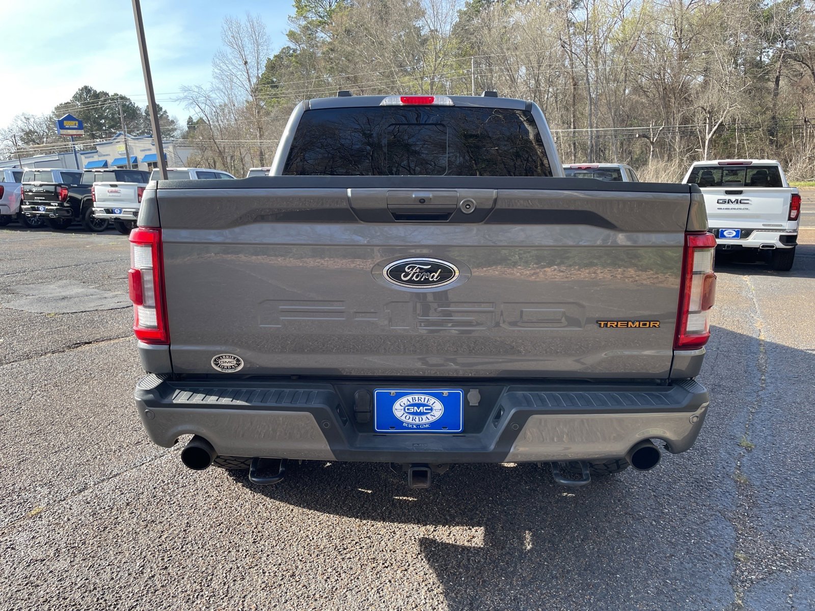 Used 2023 Ford F150 Tremor w/ Equipment Group 402A High image 4