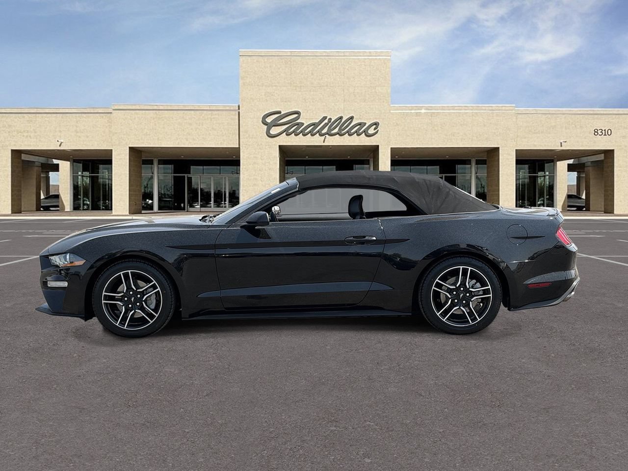 Used 2021 Ford Mustang Premium RWD image 8