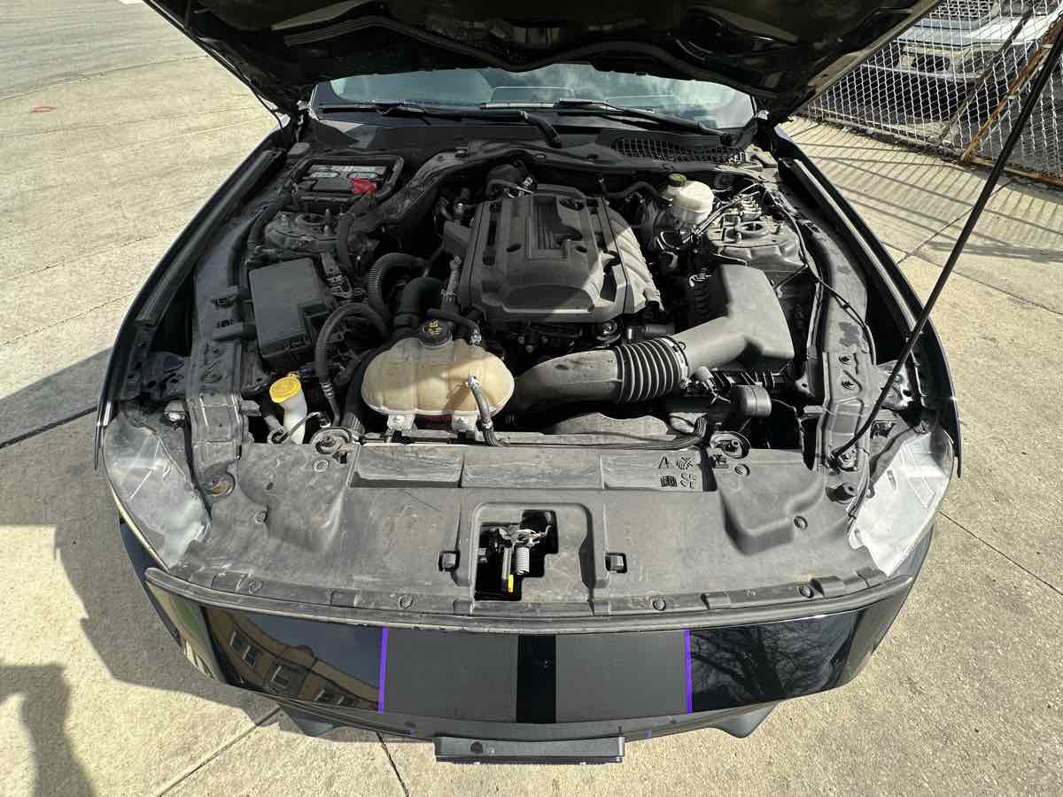 Used 2019 Ford Mustang Premium RWD image 34