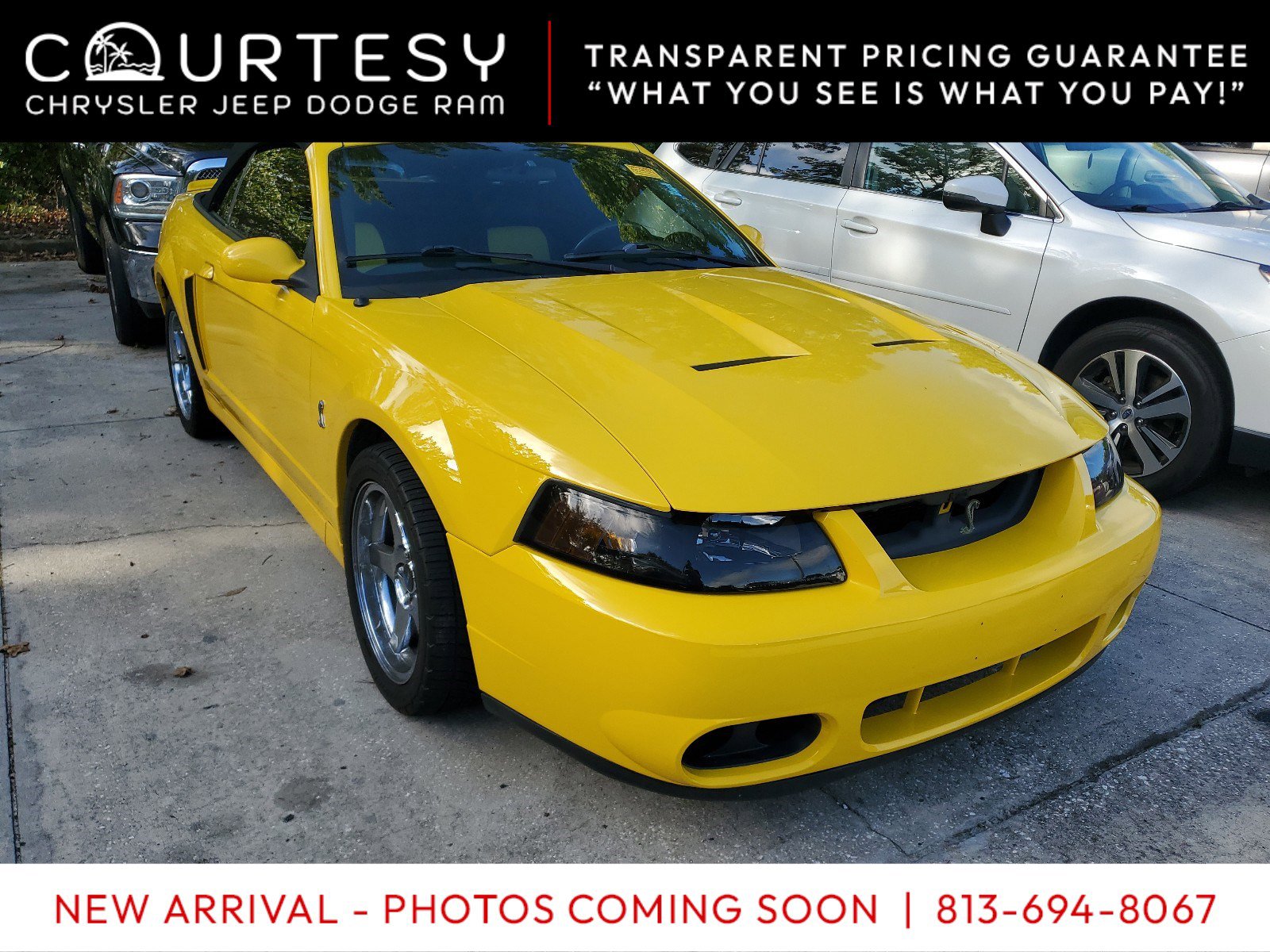 Used 2004 Ford Mustang Cobra