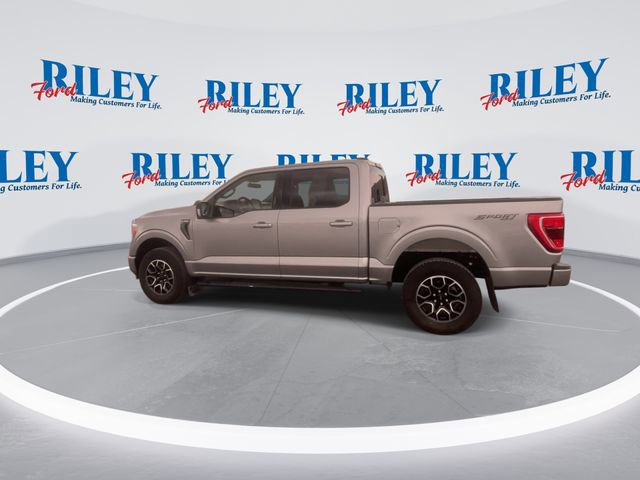 Certified 2023 Ford F150 XLT w/ Equipment Group 302A High AWD/4WD image 6