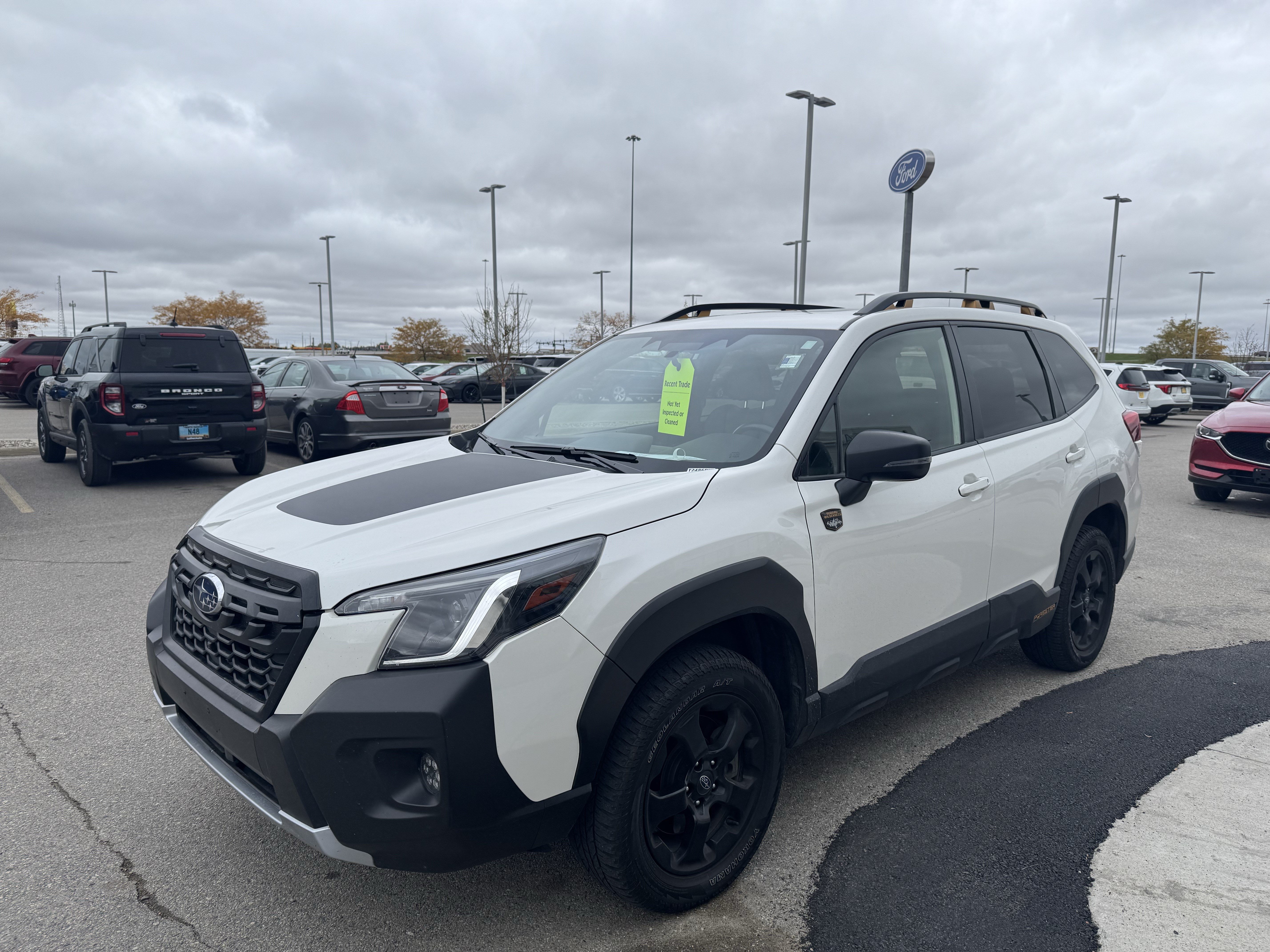 Used 2024 Subaru Forester Wilderness AWD/4WD image 3
