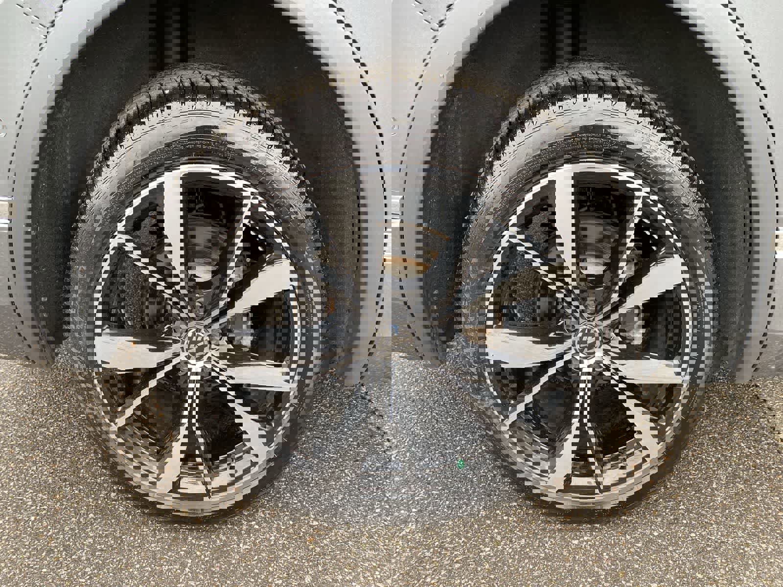 Used 2024 Volkswagen Tiguan SEL R-Line image 14