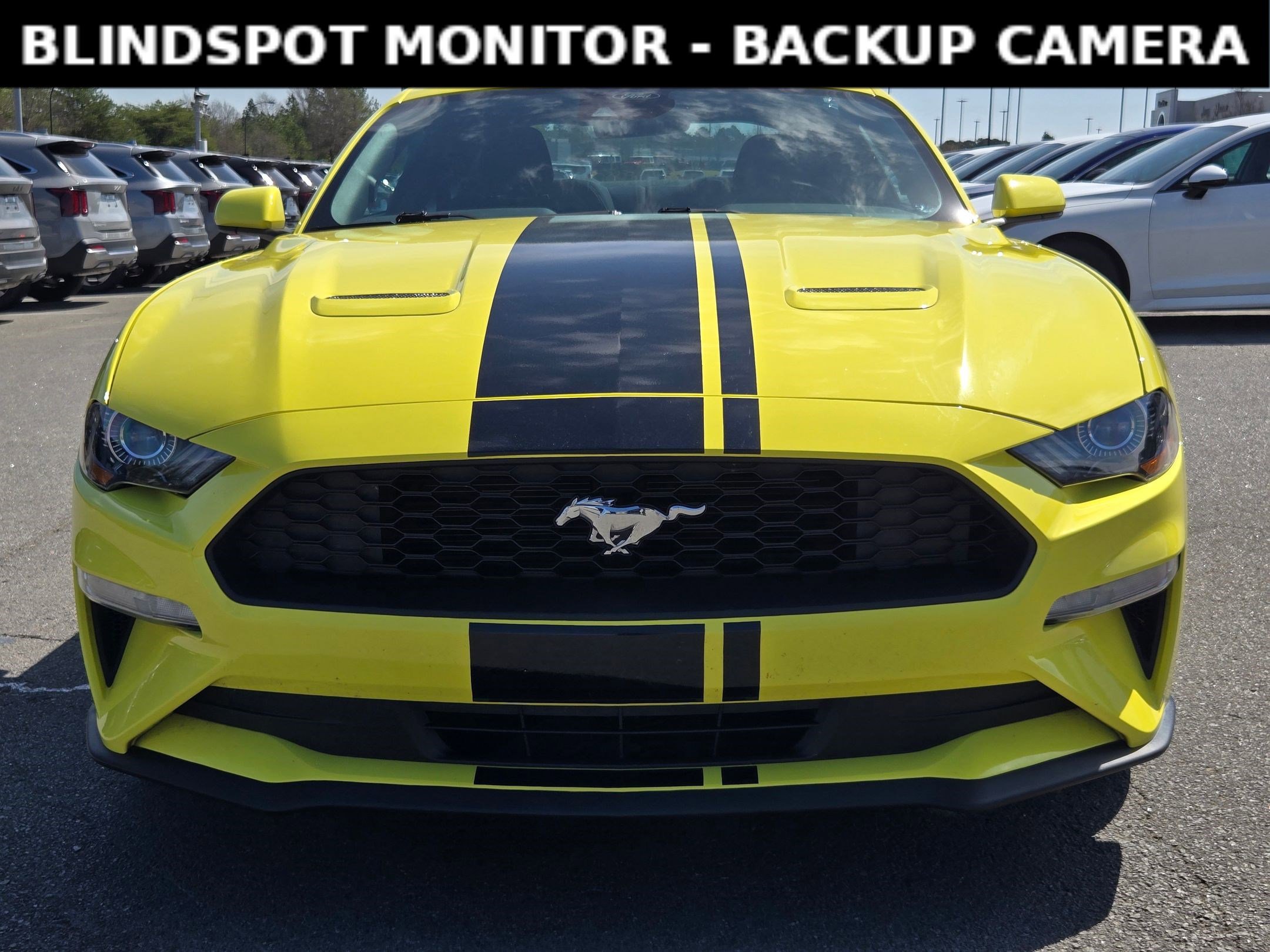 Used 2021 Ford Mustang Coupe w/ Equipment Group 101A image 2