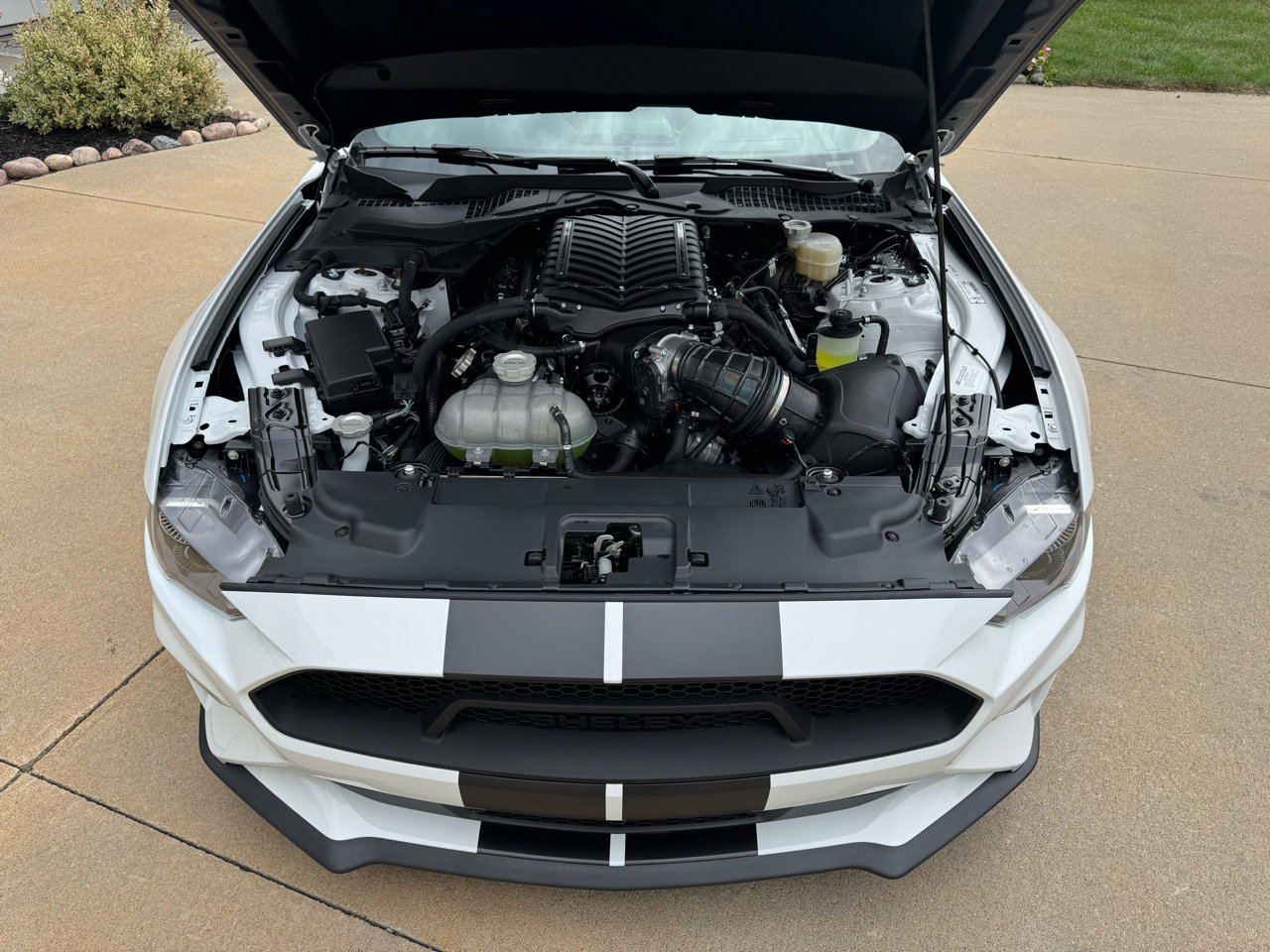 Used 2023 Ford Mustang GT Premium w/ Equipment Group 401A image 40