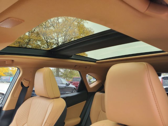 Used 2025 Lexus NX 350h AWD w/ Accessory Package (2T) image 13