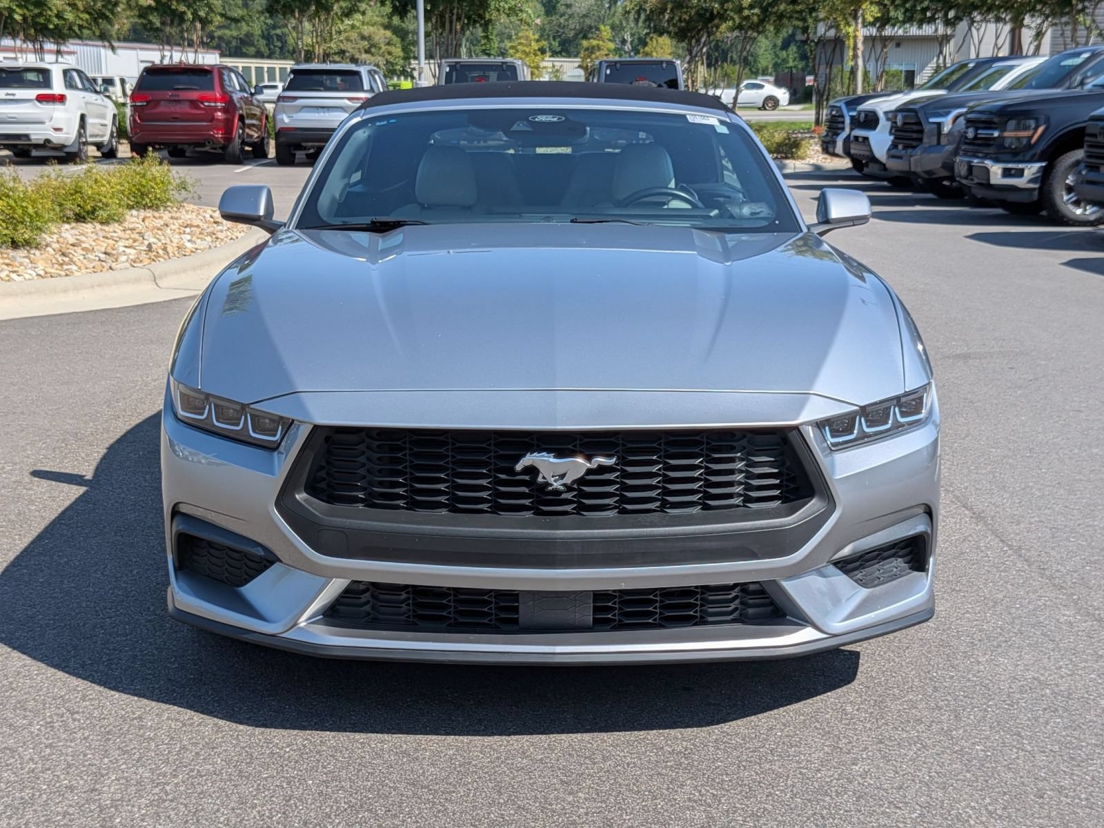 Used 2024 Ford Mustang Premium RWD image 8
