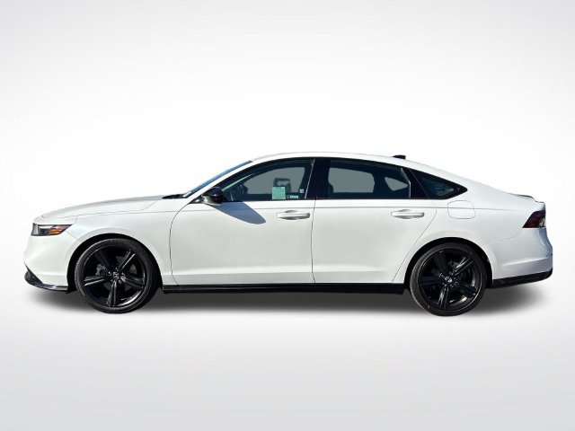 Used 2025 Honda Accord Sport image 6