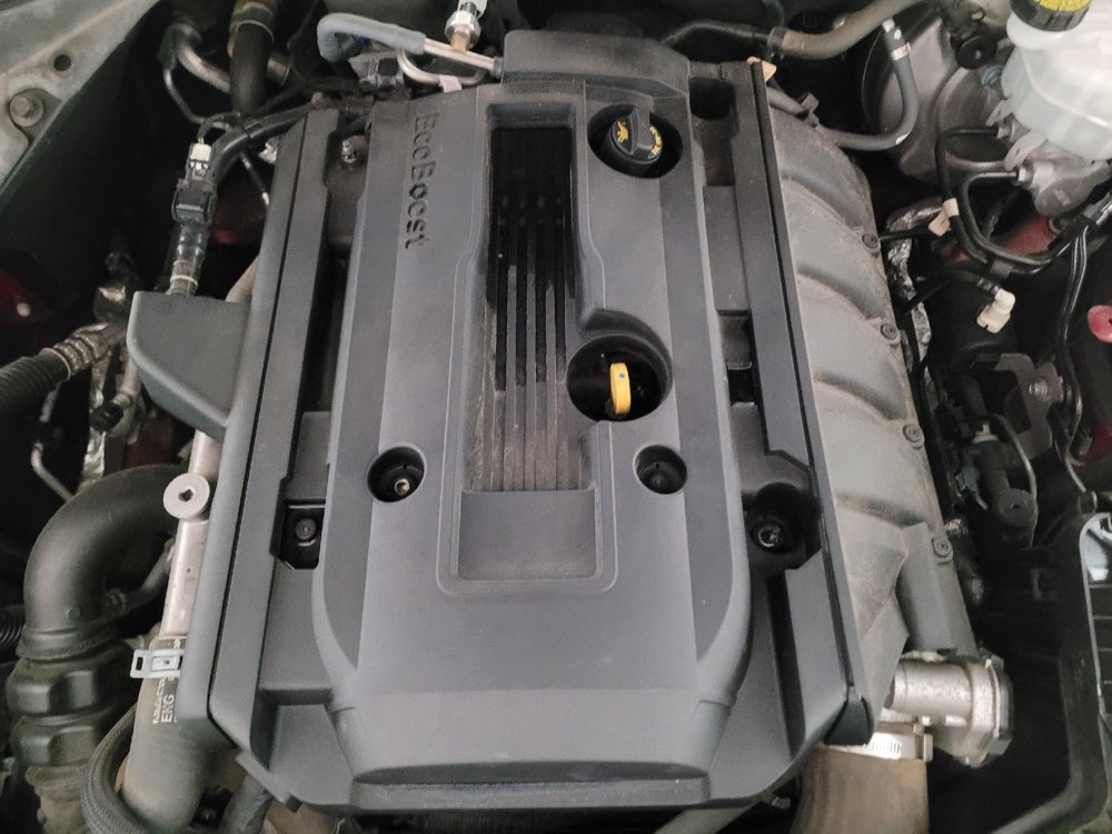Used 2019 Ford Mustang Coupe RWD image 30