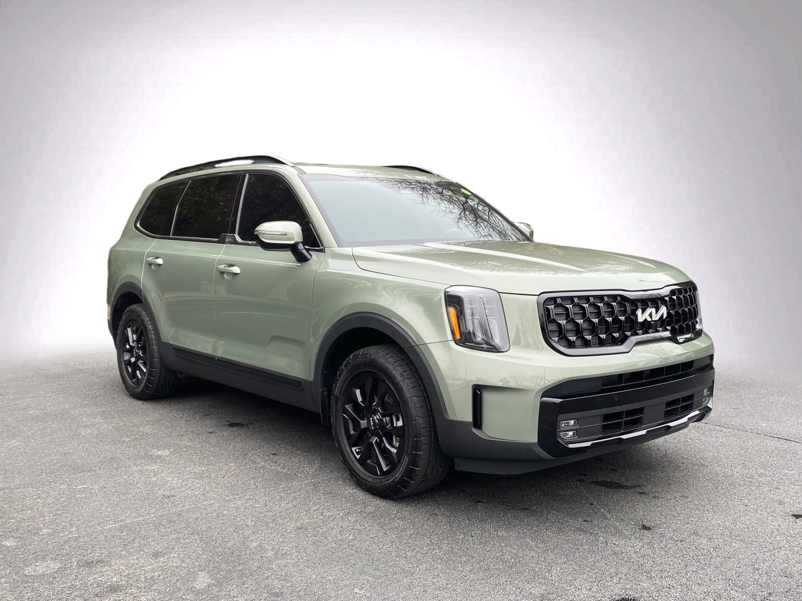 Used 2024 Kia Telluride SX Prestige X-Pro image 2