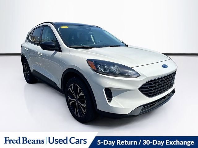 Used 2022 Ford Escape SE w/ SE Sport Appearance Package image 1