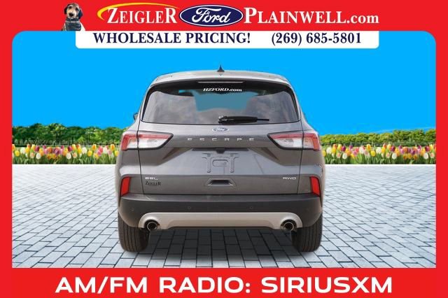 Used 2022 Ford Escape SEL image 4