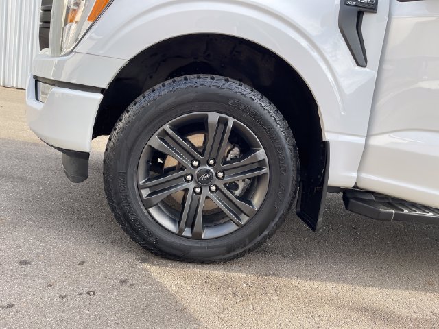 Used 2022 Ford F150 XLT w/ Equipment Group 302A High AWD/4WD image 24