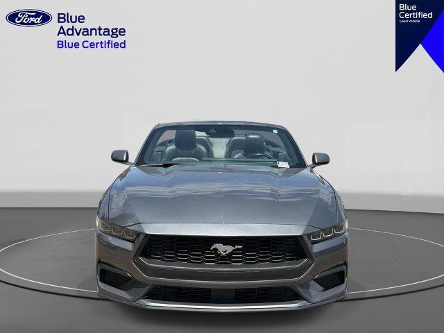 Certified 2025 Ford Mustang Premium RWD image 3