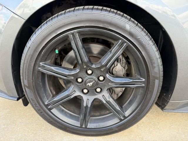 Used 2019 Ford Mustang GT w/ Black Accent Package image 9