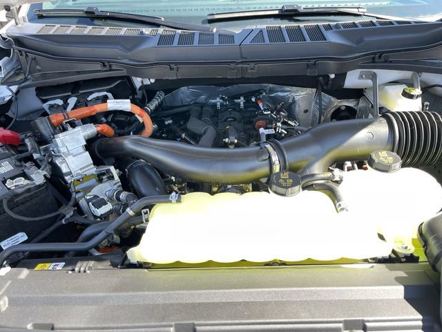 New 2026 Ford F150 STX w/ Equipment Group 200A AWD/4WD image 12
