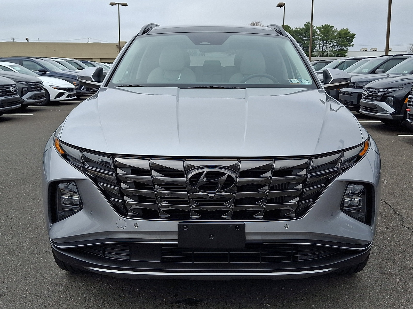 Used 2023 Hyundai Tucson Limited image 2