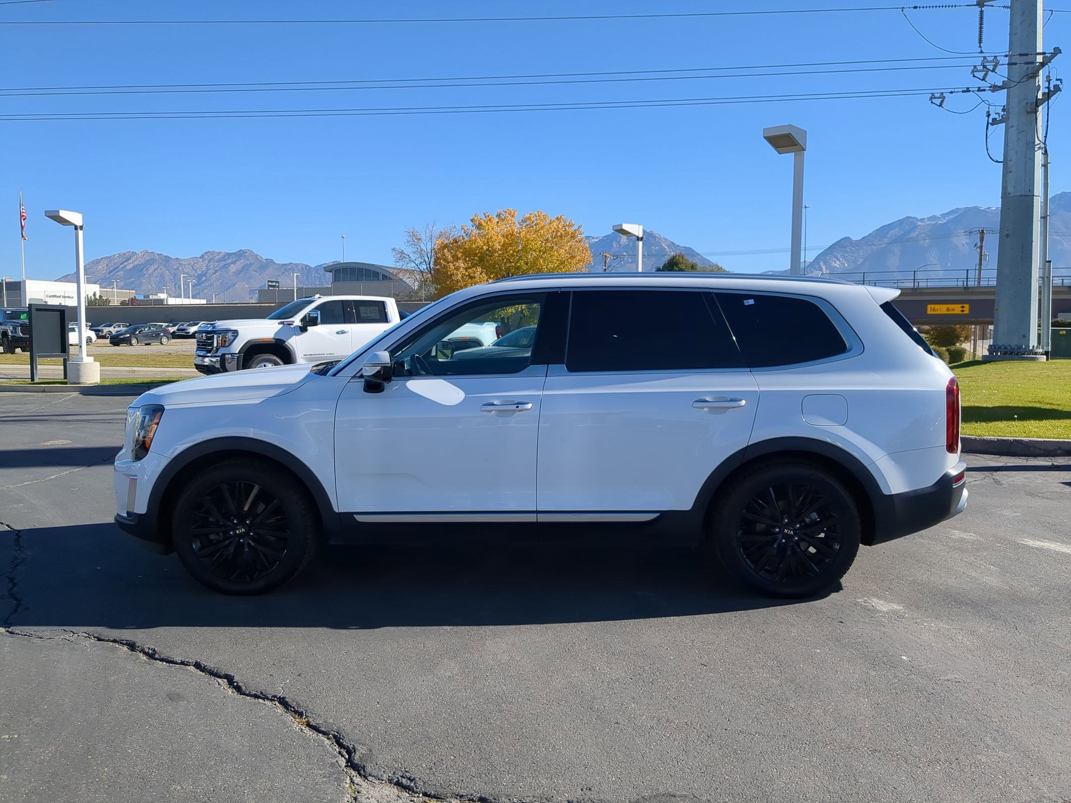 Used 2020 Kia Telluride SX w/ SX Prestige Package image 2