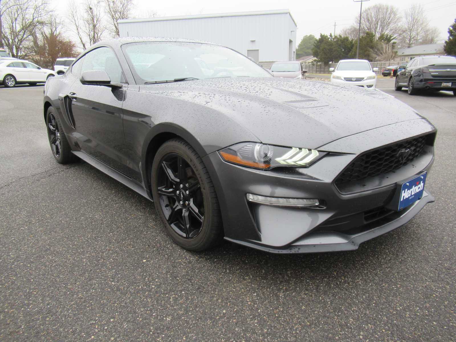 Used 2018 Ford Mustang EcoBoost w/ Equipment Group 101A image 3