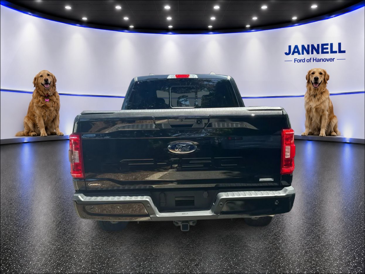 Used 2023 Ford F150 XLT w/ Equipment Group 302A High AWD/4WD image 7