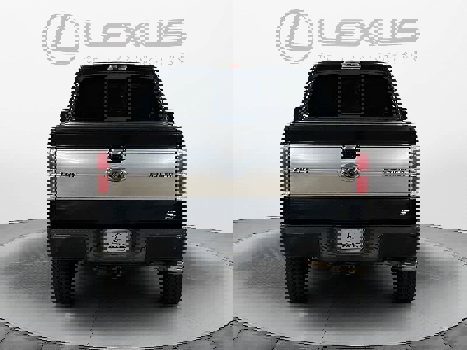 Used 2010 Ford F150 Platinum image 4