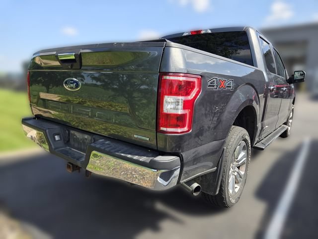 Used 2019 Ford F150 XLT w/ Equipment Group 302A Luxury AWD/4WD image 10