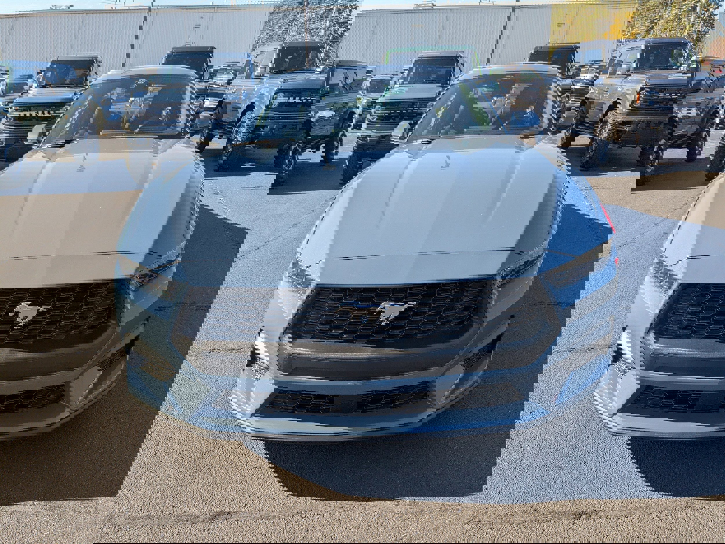 New 2026 Ford Mustang Coupe image 8