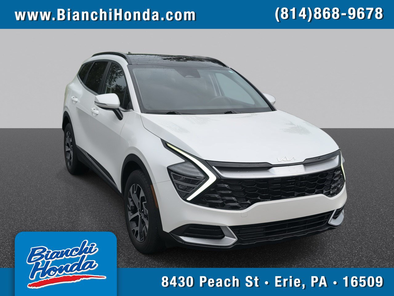 Used 2024 Kia Sportage EX w/ EX Premium Package