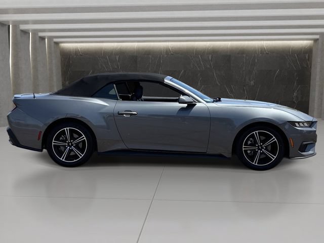Used 2025 Ford Mustang Premium RWD image 7