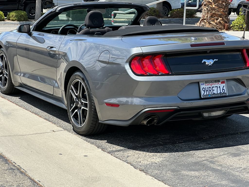 Used 2023 Ford Mustang Convertible w/ Equipment Group 101A RWD image 6