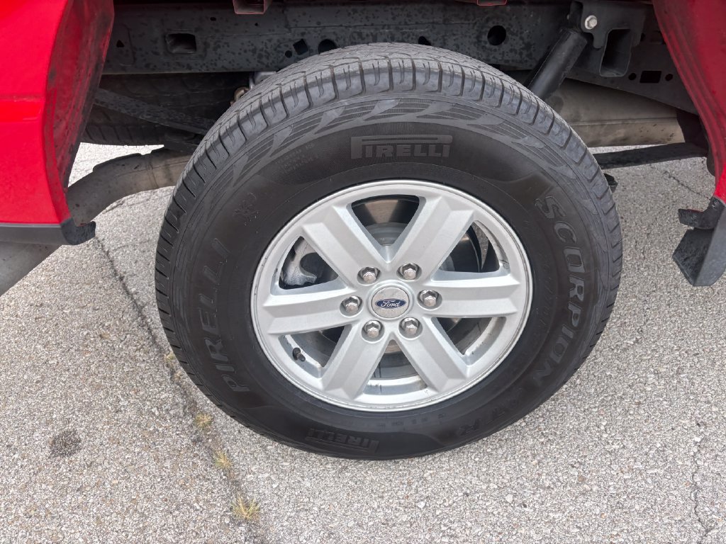 Used 2025 Ford F150 XL w/ Equipment Group 103A High AWD/4WD image 12